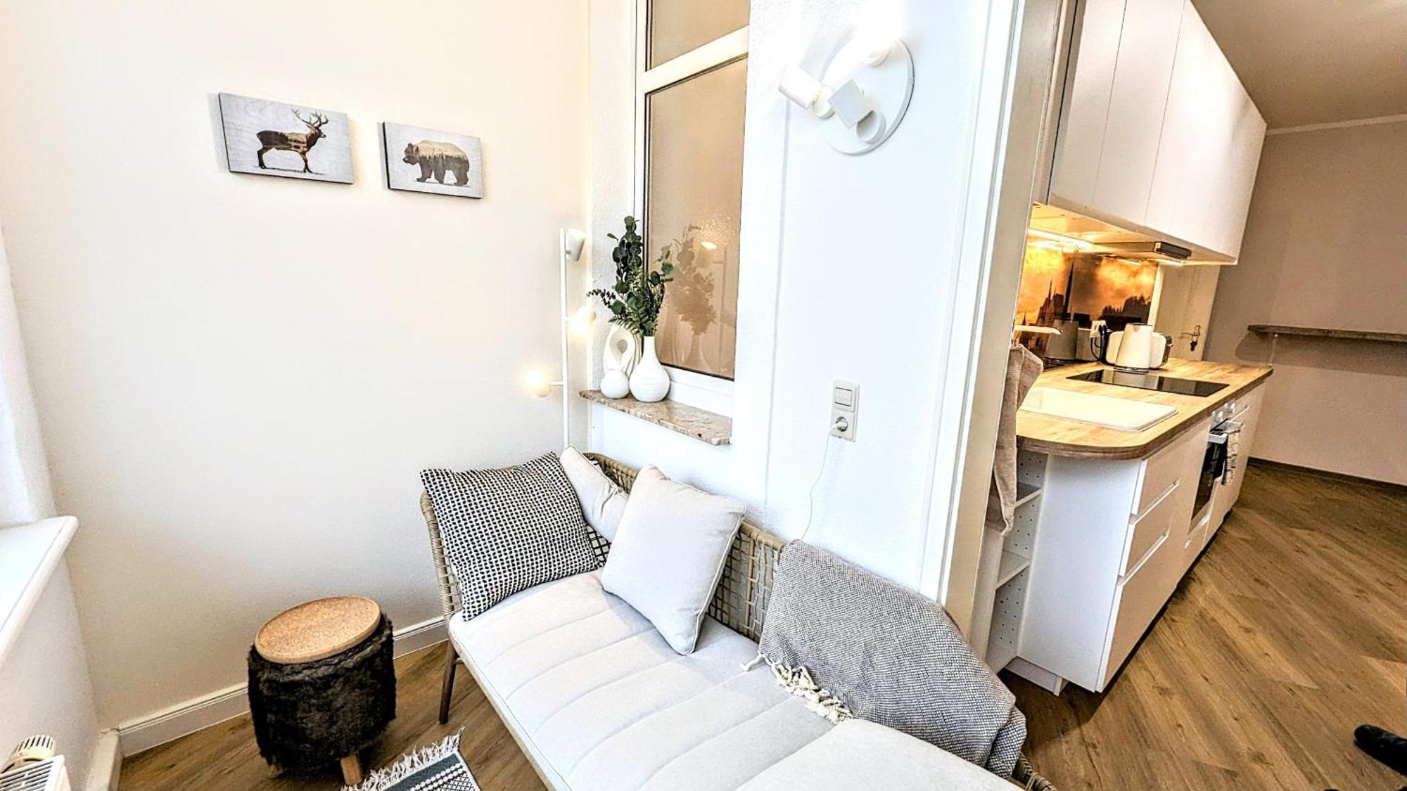 Meissen Apartments - Moderne Ferienwohnungen In Meissen Am Lutherplatz エクステリア 写真